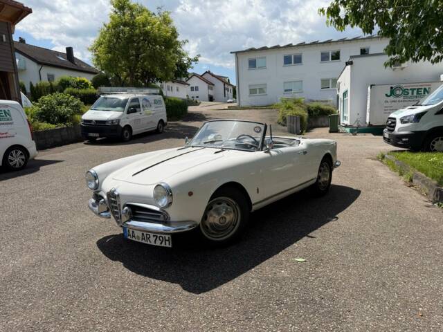 Bild 1/8 von Alfa Romeo Giulietta Spider (1961)
