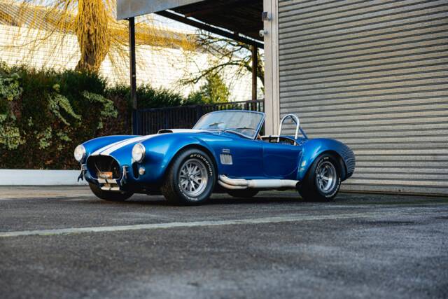 Image 1/68 of Shelby Cobra 289 (1966)