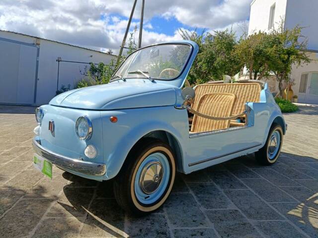 Bild 1/50 von FIAT 500 L (1971)