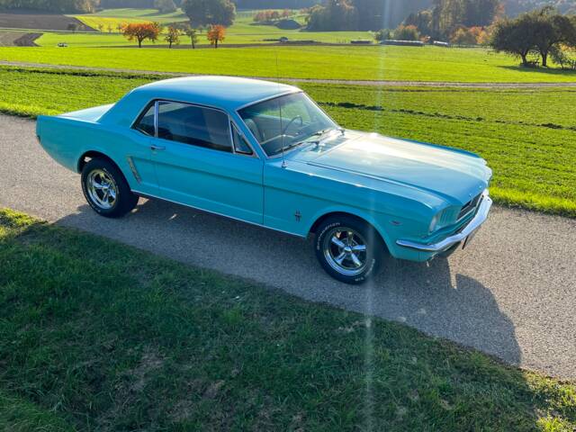 Image 1/33 de Ford Mustang 302 (1965)