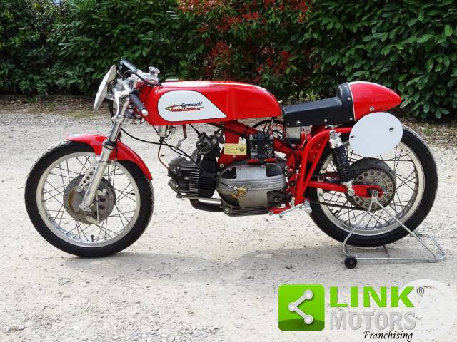 Bild 1/10 von Aermacchi DUMMY (1962)
