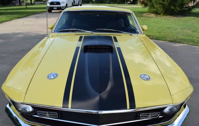 Bild 1/9 von Ford Mustang Mach 1 (1970)