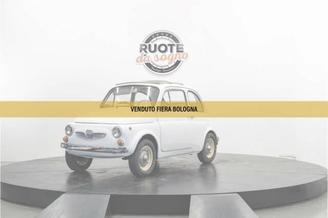 Image 1/29 of Steyr-Puch 500 D (1967)