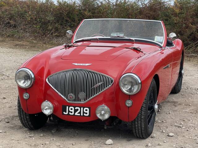 Image 1/12 of Austin-Healey 100/4 (BN1) (1955)