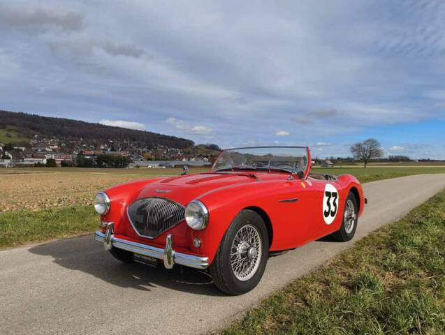 Bild 1/24 von Austin-Healey 100/4 (BN1) (1955)