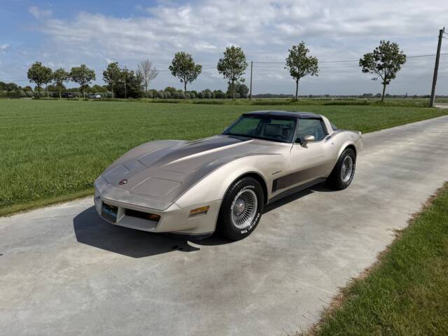 Image 1/50 of Chevrolet Corvette Collector Edition (1982)