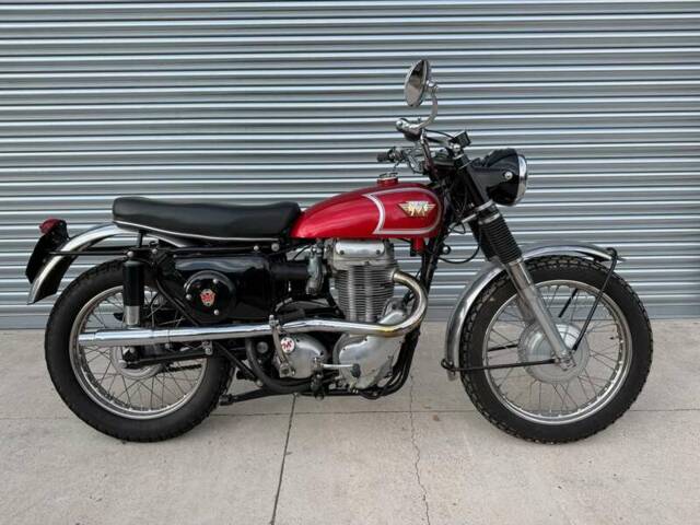 Bild 1/39 von Matchless G 80 CS (1968)