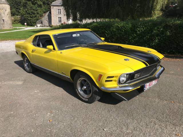 Afbeelding 1/10 van Ford Mustang Mach 1 (1970)