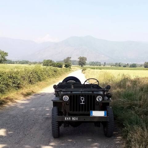 Bild 1/6 von Willys-Overland MB (1943)