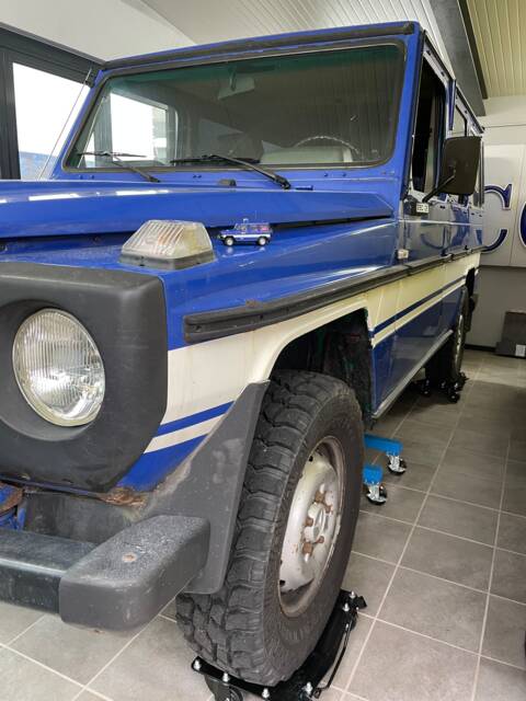 Bild 1/6 von Mercedes-Benz 280 GE (lang) (1979)