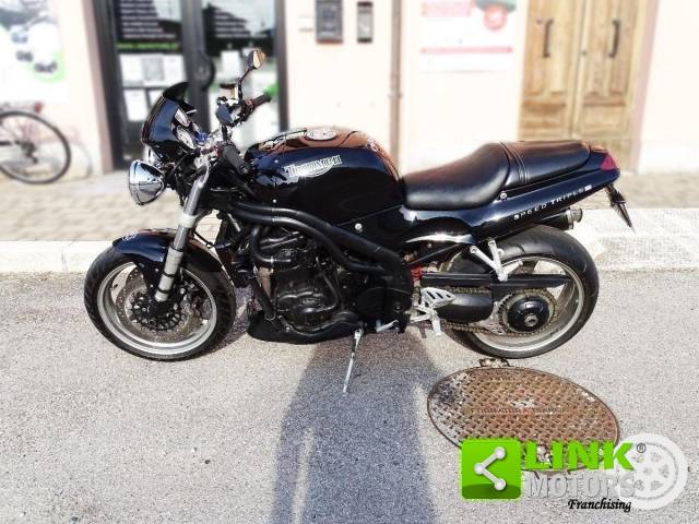 Bild 1/30 von Triumph DUMMY (2001)