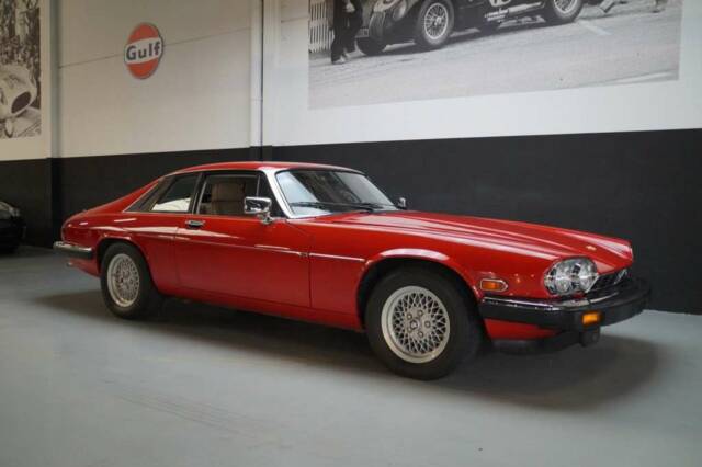 Image 1/48 de Jaguar XJS 5.3 V12 (1991)