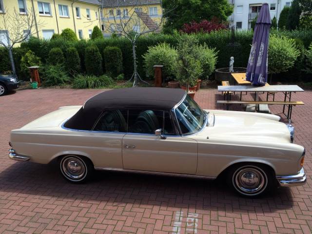 Bild 1/15 von Mercedes-Benz 250 SE (1968)