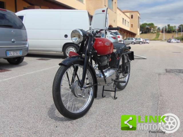 Bild 1/13 von Gilera DUMMY (1952)