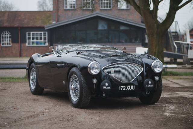 Image 1/53 de Austin-Healey 100/4 (BN2) (1955)