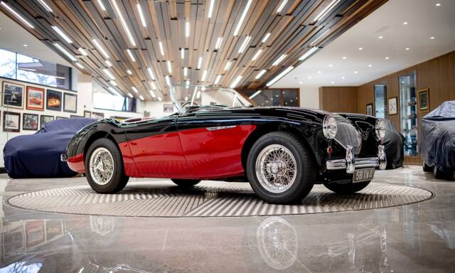 Image 1/50 of Austin-Healey 100/4 (BN2) (1956)