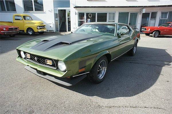 Afbeelding 1/14 van Ford Mustang Mach 1 (1972)
