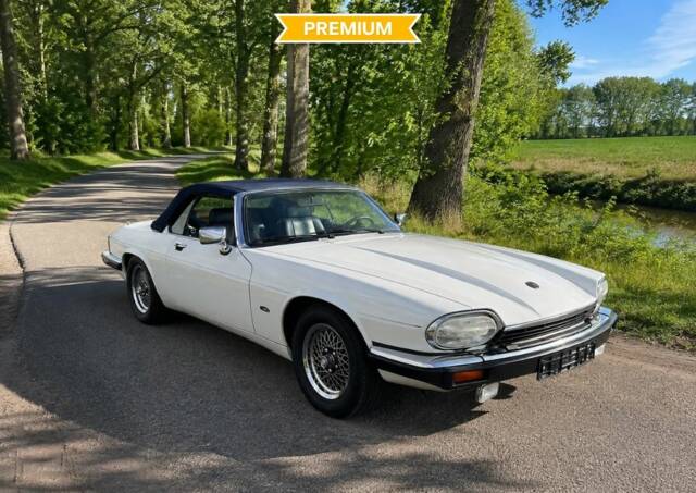 Immagine 1/8 di Jaguar XJS 5.3 V12 (1992)