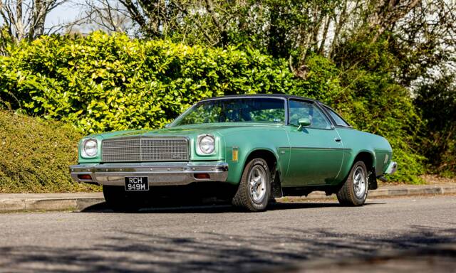 Imagen 1/50 de Chevrolet Chevelle Malibu Coupe (1974)