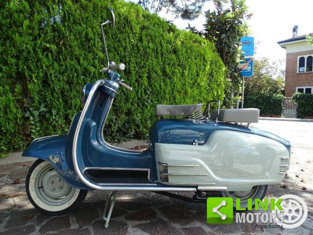 Bild 1/37 von Ducati DUMMY (1953)