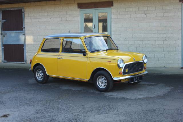 Bild 1/31 von Mini 1100 Special (1979)