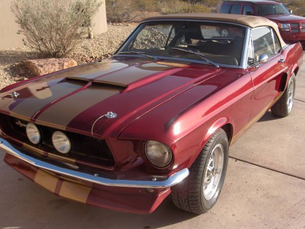 Bild 1/10 von Ford Shelby GT 350 (1968)