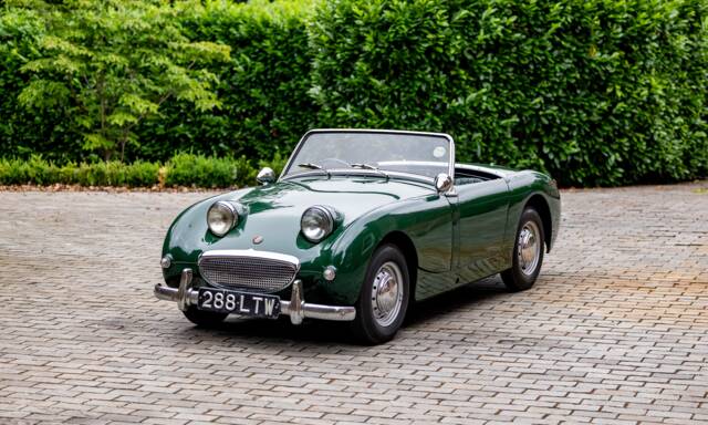 Bild 1/40 von Austin-Healey Sprite Mk I (1958)