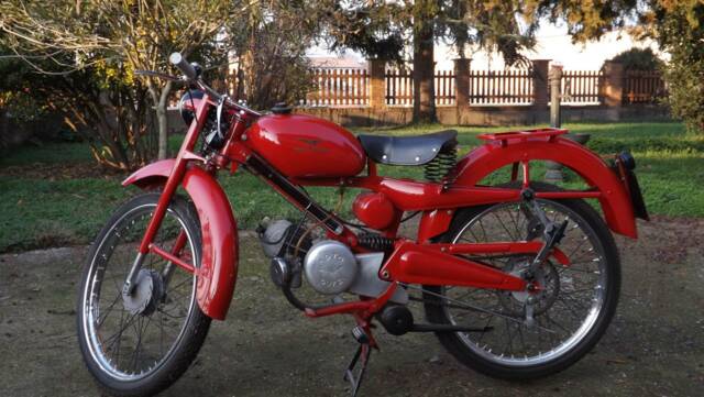 Bild 1/41 von Moto Guzzi Motoleggera 65 (1952)