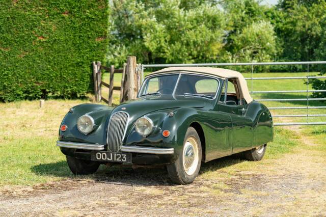 Bild 1/50 von Jaguar XK 120 DHC (1954)