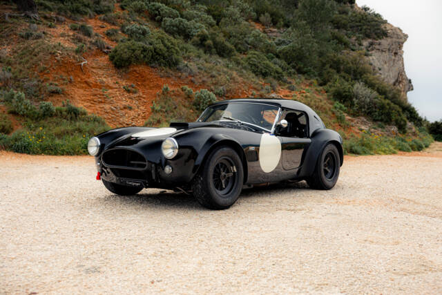Image 1/15 of AC Cobra 289 (1964)