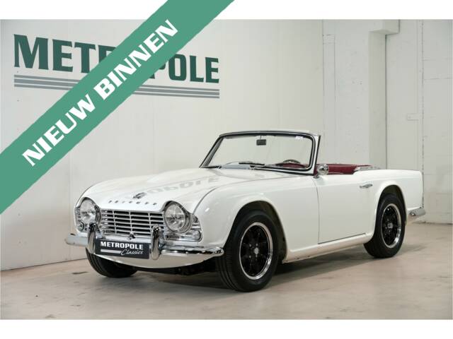Immagine 1/32 di Triumph TR 4 (1963)