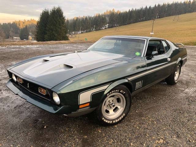 Afbeelding 1/13 van Ford Mustang Mach 1 (1972)