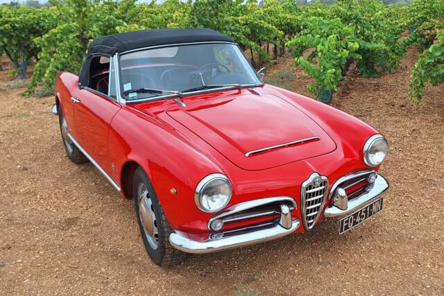 Afbeelding 1/8 van Alfa Romeo Giulia 1600 Spider (1964)