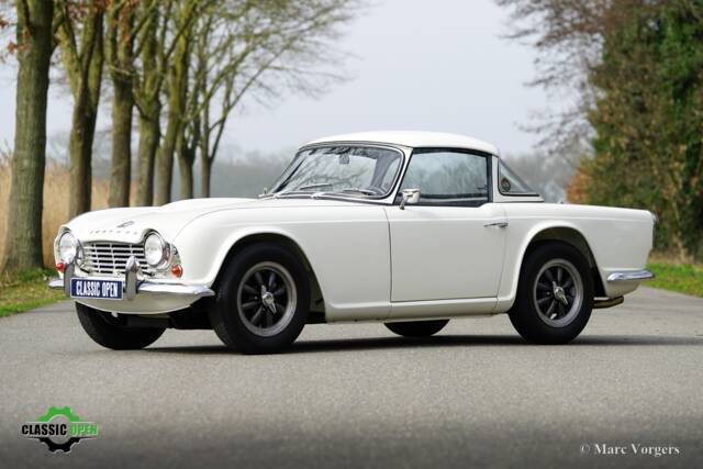 Bild 1/66 von Triumph TR 4 (1963)