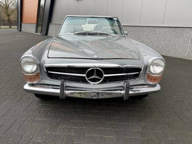 Image 1/36 of Mercedes-Benz 280 SL (1970)