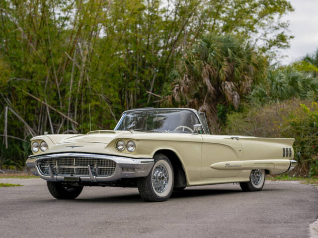 Bild 1/50 von Ford Thunderbird (1960)