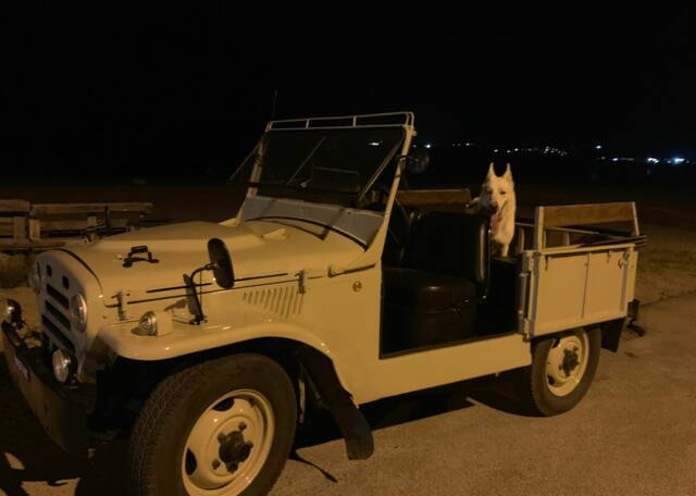 Immagine 1/6 di FIAT AR 59 (1971)