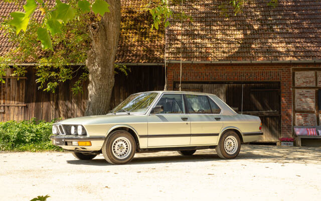 Image 1/63 de BMW 528i (1984)