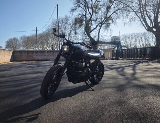 Imagen 1/12 de Triumph DUMMY (2011)