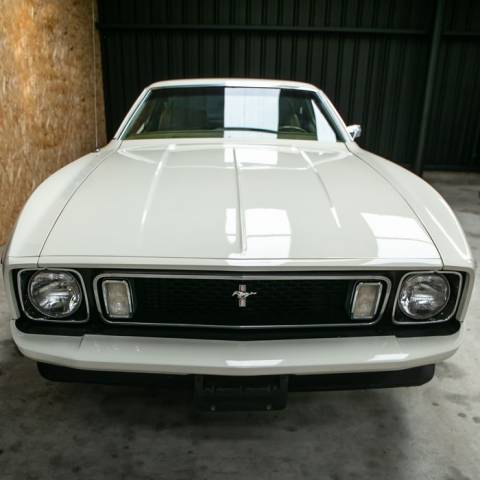 Imagen 1/8 de Ford Mustang 302 (1973)