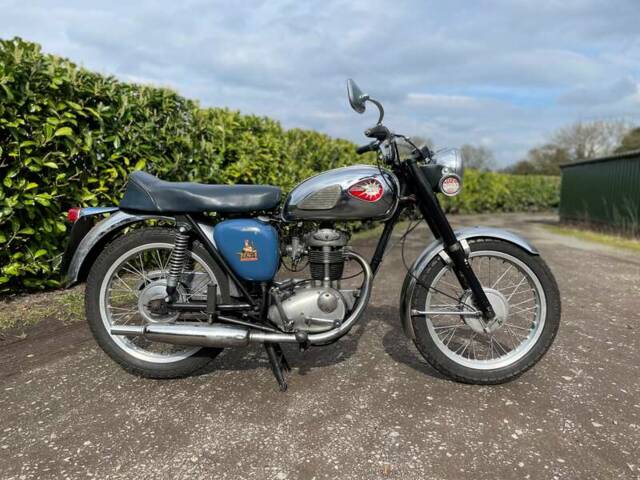 Immagine 1/45 di BSA DUMMY (1966)