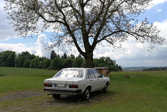 Image 1/40 of Audi 100 (1979)