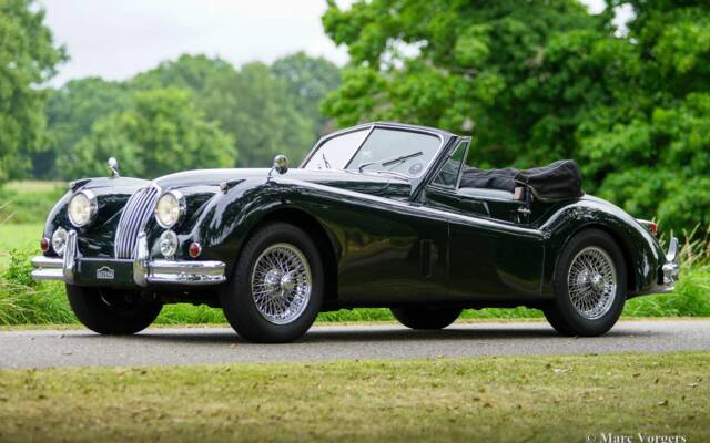 Afbeelding 1/59 van Jaguar XK 140 SE DHC (1955)