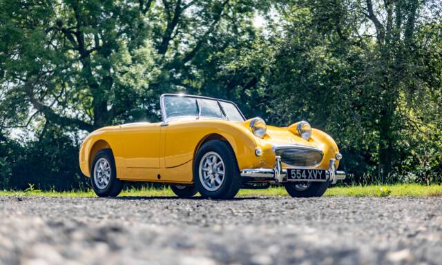 Bild 1/32 von Austin-Healey Sprite Mk I (1961)