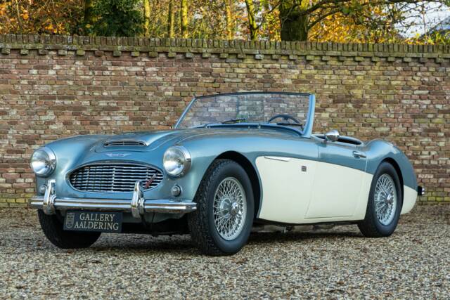 Bild 1/50 von Austin-Healey 3000 Mk I (BN7) (1960)