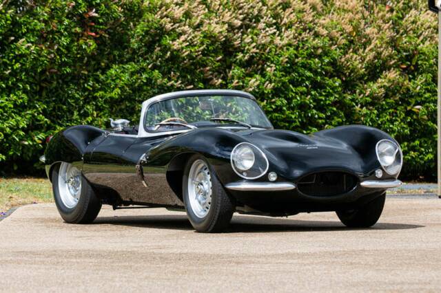 Bild 1/46 von Jaguar XK-SS (1956)