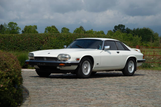 Bild 1/37 von Jaguar XJS 5.3 V12 (1989)