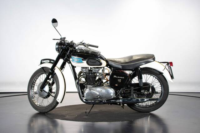 Image 1/50 of Triumph 6T Thunderbird (1959)