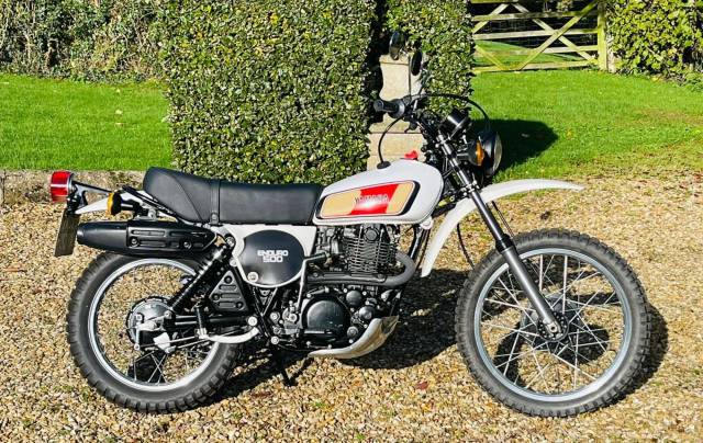Image 1/12 de Yamaha DUMMY (1977)