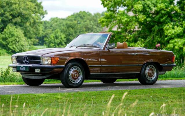 Afbeelding 1/61 van Mercedes-Benz 450 SL (1977)